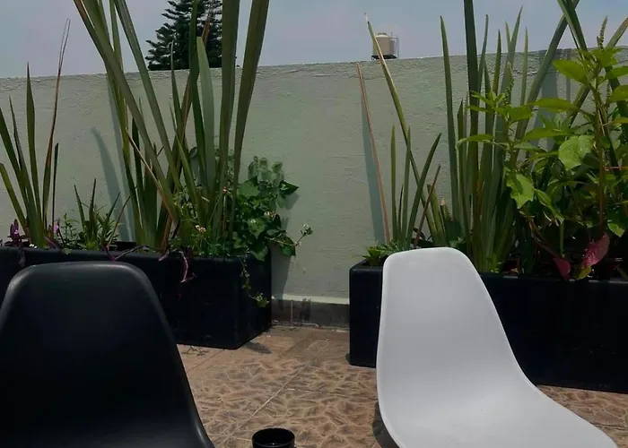 Homestay Iturriaga Ipn Zacatenco Issste Imss Juarez Mdlsalinas Zona Norte Cd Mx Mexico City